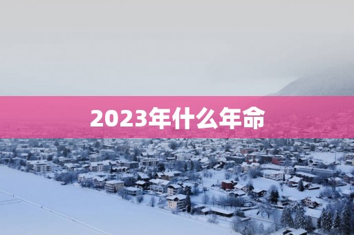 2025年什么年命