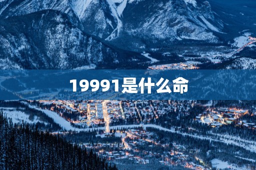 19991是什么命