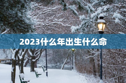 2025什么年出生什么命