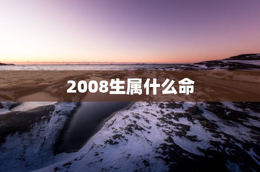 2008生属什么命