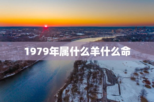 1979年属什么羊什么命
