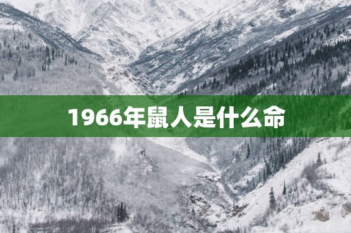1966年鼠人是什么命