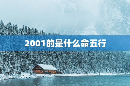 2001的是什么命五行