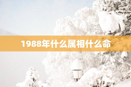 1988年什么属相什么命