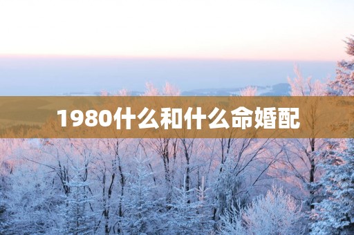 1980什么和什么命婚配