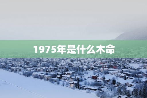 1975年是什么木命