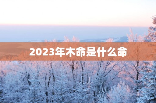 2025年木命是什么命