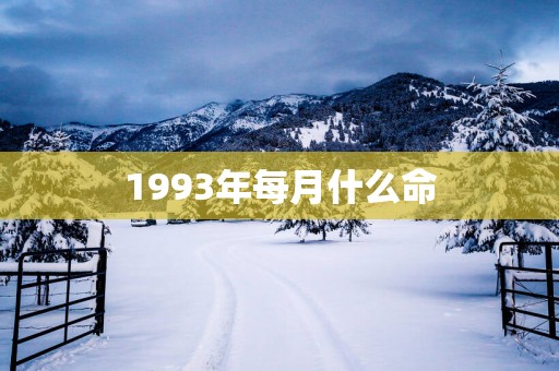 1993年每月什么命