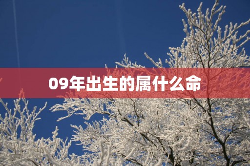 09年出生的属什么命