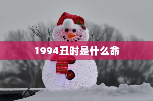 1994丑时是什么命