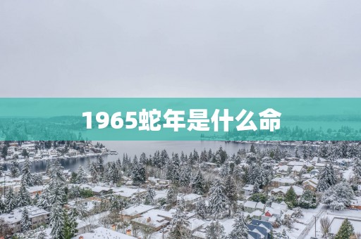 1965蛇年是什么命