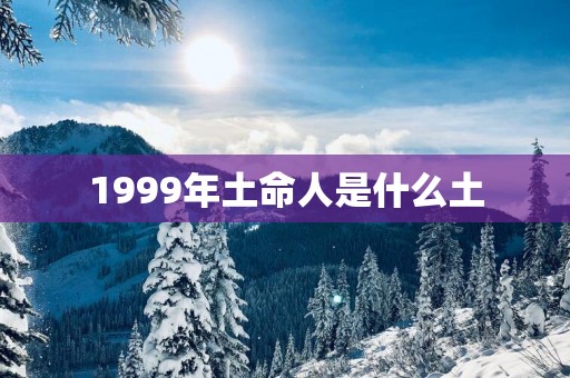 1999年土命人是什么土