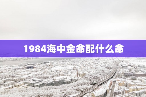 1984海中金命配什么命