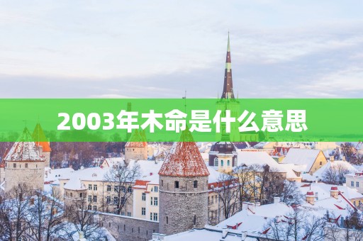 2003年木命是什么意思