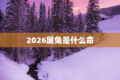 2026属兔是什么命