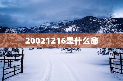 20021216是什么命