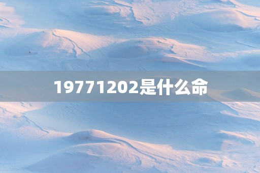 19771202是什么命