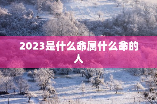2025是什么命属什么命的人