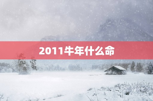 2011蛇年什么命