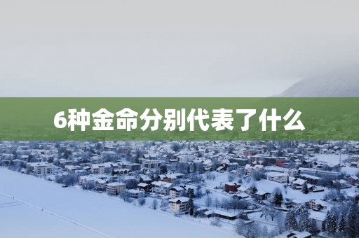 6种金命分别代表了什么