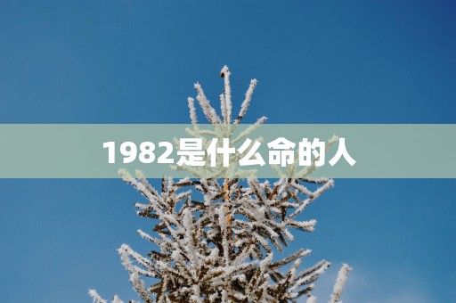 1982是什么命的人