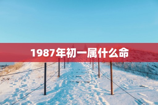 1987年初一属什么命