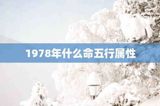 1978年什么命五行属性