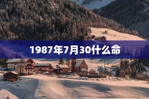1987年7月30什么命