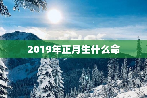 2019年正月生什么命
