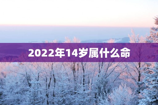 2025年14岁属什么命