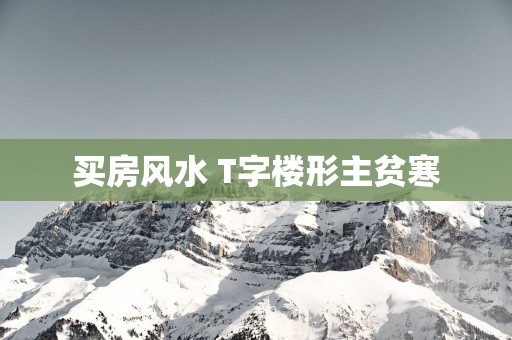 买房风水 T字楼形主贫寒
