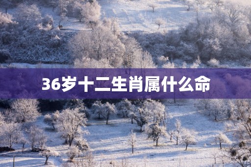 36岁十二生肖属什么命
