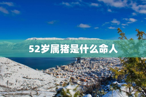 52岁属猪是什么命人