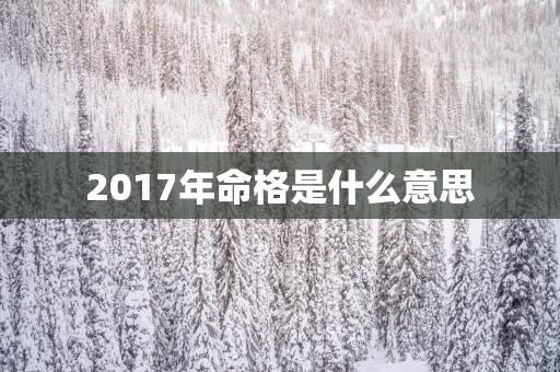 2017年命格是什么意思