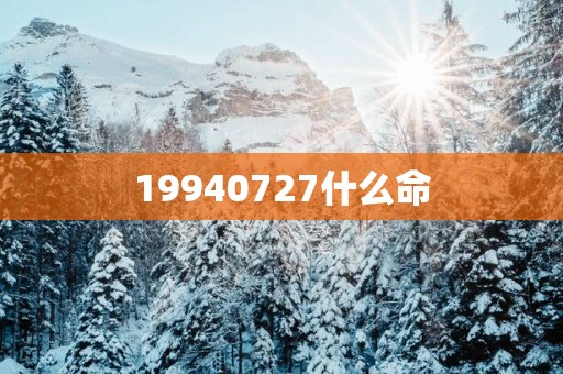 19940727什么命