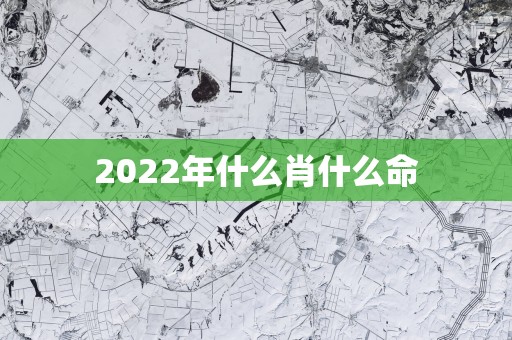 2025年什么肖什么命