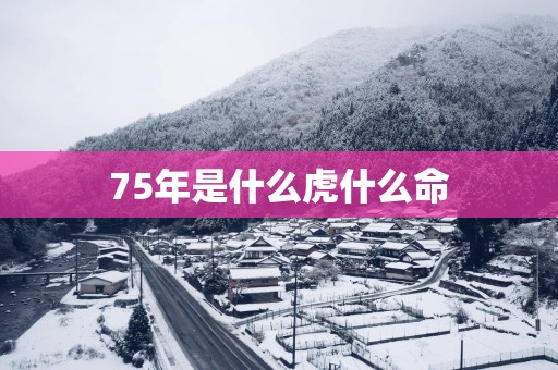 75年是什么虎什么命