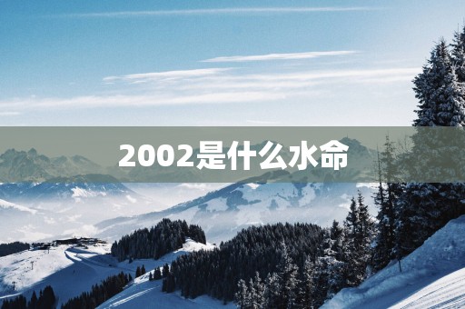 2002是什么水命