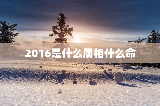 2016是什么属相什么命