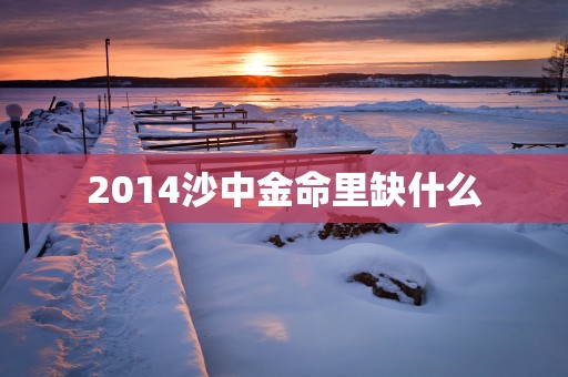 2014沙中金命里缺什么