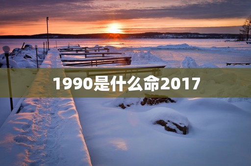 1990是什么命2017