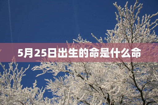 5月25日出生的命是什么命