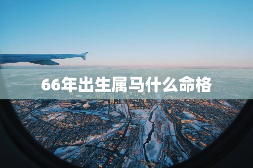 66年出生属马什么命格