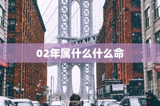 02年属什么什么命