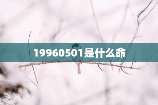 19960501是什么命