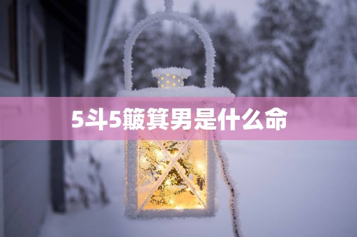 5斗5簸箕男是什么命