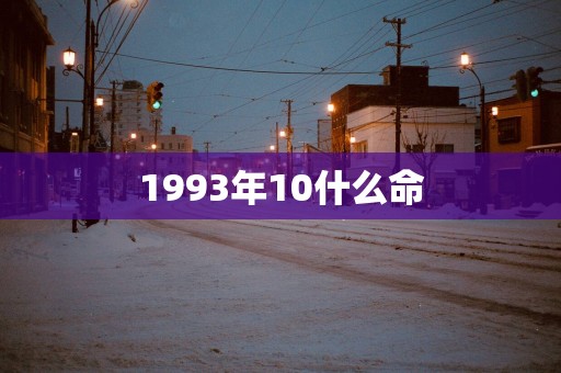 1993年10什么命