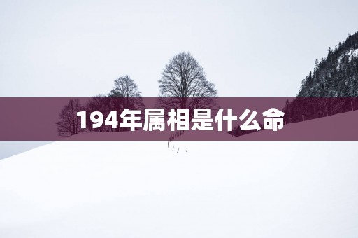 194年属相是什么命
