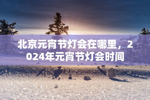 北京元宵节灯会在哪里，2025年元宵节灯会时间