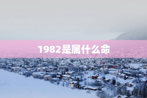 1982是属什么命